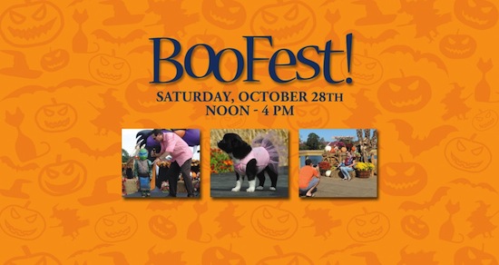 BooFest at Barefoot Landing