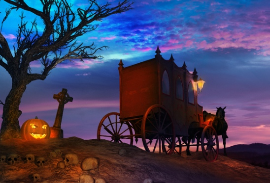 Carriage Rides at Market Common